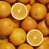 Citrus Orange in a 4L pot