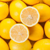 Citrus Lemon in a 4L pot