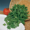 Essential Herb Collection plug plants x36