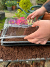 Seed Starting Propagation Set (Full Size)