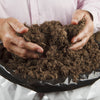 Premium Professional Compost 50L