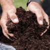 Premium Professional Compost 50L