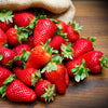 Strawberry Everbearer 'Sweet Summer' Runners x24