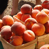 Patio Peach 'Crimson Bonfire' Bare Root Tree