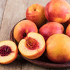 Nectarine Flavourtop Tree in a 5L pot
