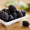 Thornless Blackberry in a 1.7L pot