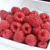 Raspberry Long Canes x10