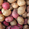 Patio Potato Growing Selection