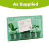 Cucumber Quick Snack plug plants x6