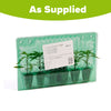 Pepper Hot Quickfire Plug Plants x12