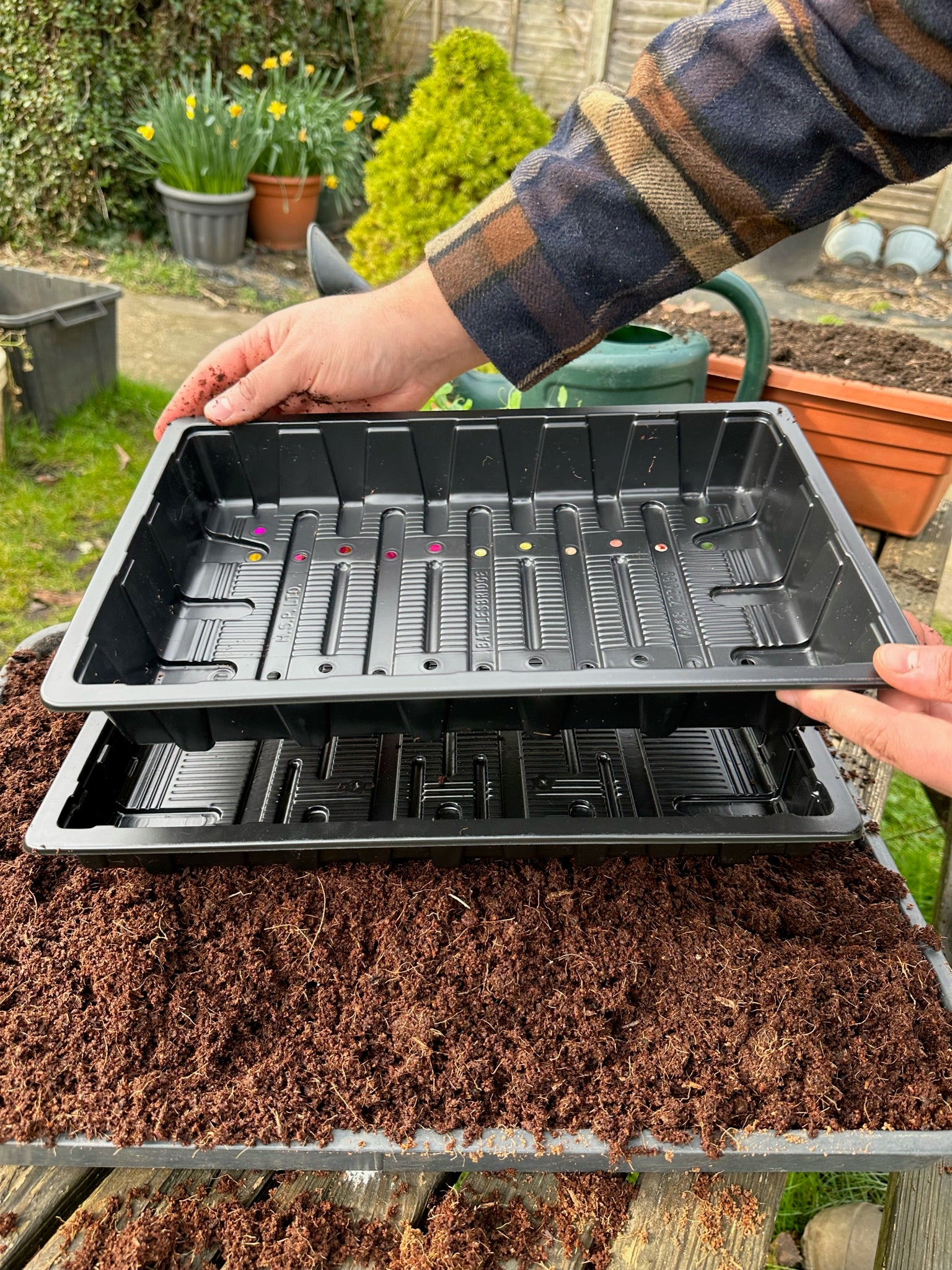 seed planter tray Heavy Duty Seed Starting Tray (Full Size)– Joe's Garden Shop